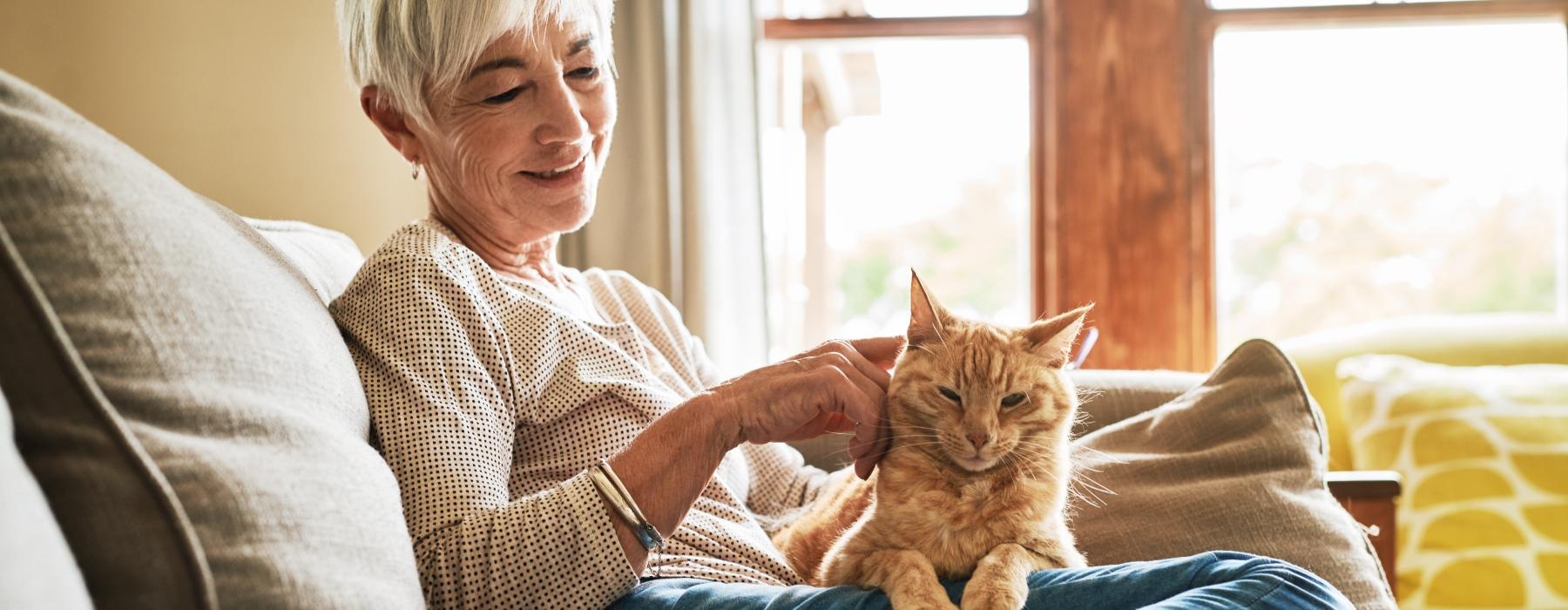 A resident petting a cat at Overture Andalucia senior living apartments in Albuquerque, NM, featuring bright sunlight.