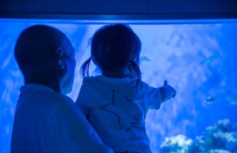 A grandfather holding his grandchild while looking at sea life at an aquarium.