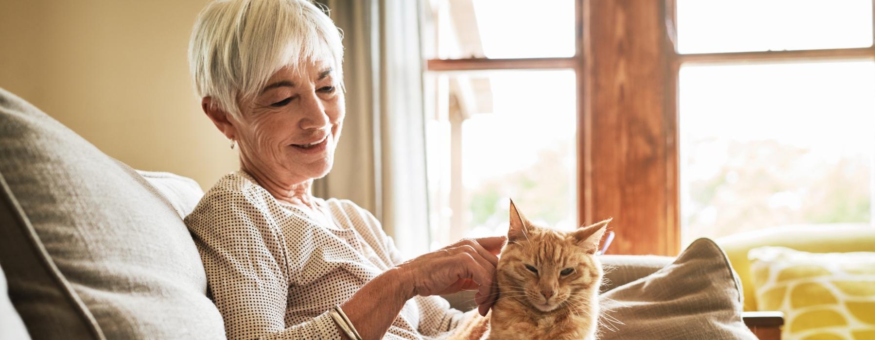 A resident petting a cat at Overture Fair Ridge senior living apartments in Fairfax, VA, featuring bright natural lighting.