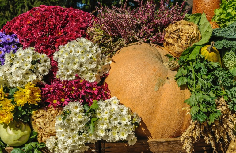 The Joy of Fall Gardening: Tips for Senior Apartment Dwellers