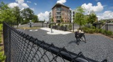 fenced in dog park