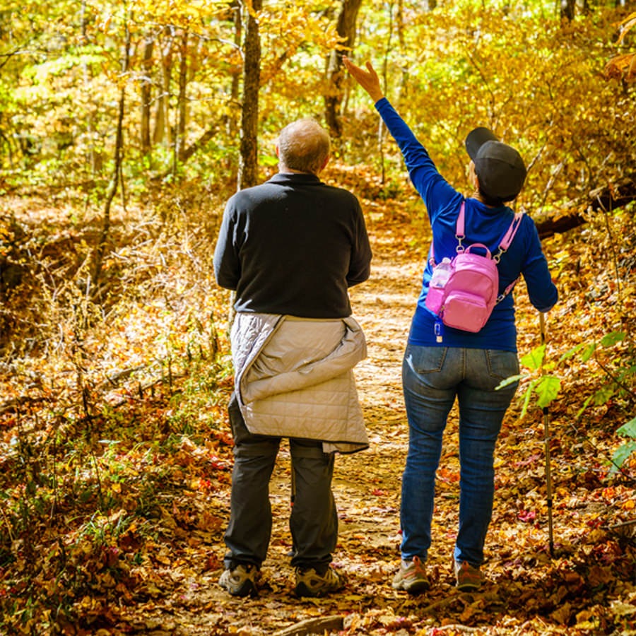 Raleigh-Durham Couple looking up into the tree canopy while taking a walk in the woods.